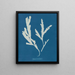 Lame di sega - Anna Atkins — quadro incorniciato alla parete