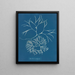 Furcellaria fastigiata - Anna Atkins — quadro incorniciato alla parete
