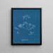 Gelures cornéennes - Anna Atkins — quadro incorniciato alla parete