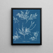 del ghiaccio sul naso - Anna Atkins — quadro incorniciato alla parete