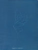 Gigartina Griffithsiae - Anna Atkins — vista dell’opera