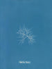 C'est à toi - Anna Atkins — vista dell’opera