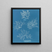 Gigartina acicularis a de beaux fruits - Anna Atkins — quadro incorniciato alla parete