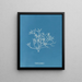 Gigartina pistillata - Anna Atkins — quadro incorniciato alla parete