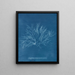 Rosa viola gigante in frutto - Anna Atkins — quadro incorniciato alla parete