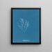 Griffithsia corallina - Anna Atkins — quadro incorniciato alla parete