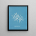 Griffithsia equisetifolia - Anna Atkins — quadro incorniciato alla parete