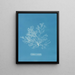 Griffithsia multifida - Anna Atkins — quadro incorniciato alla parete