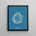 Halymenia furcellata - Anna Atkins — quadro incorniciato alla parete