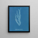Halymenia ligulata var. ramentacea - Anna Atkins — quadro incorniciato alla parete