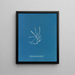 Helminthocladia vermicularis - Anna Atkins — quadro incorniciato alla parete