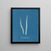 Fascia laminare - Anna Atkins — quadro incorniciato alla parete