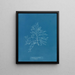 Laurencia pinnatifida en angusta - Anna Atkins — quadro incorniciato alla parete
