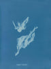 Lyngbya majuscula - Anna Atkins — vista dell’opera