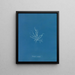 Mesogloia mutifida - Anna Atkins — quadro incorniciato alla parete