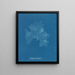 Nitophyllum Gmeleni - Anna Atkins — quadro incorniciato alla parete