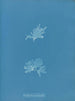 Nitophyllum versicolor - Anna Atkins — vista dell’opera