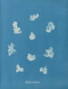 Nostoe e comune - Anna Atkins — vista dell’opera
