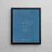 Polysiphonia subulifera - Anna Atkins — quadro incorniciato alla parete