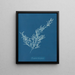 Sargassum bacciferum - Anna Atkins — quadro incorniciato alla parete