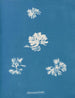 Schizonema grevillii - Anna Atkins — vista dell’opera
