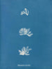 Schizonema comoides - Anna Atkins — vista dell’opera