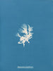 Schizonema parasiticum - Anna Atkins — vista dell’opera