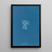 Riproduzione del dipinto Vaucheria racemosa - Anna Atkins