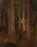 Foresta - Anna Berent — vista dell’opera
