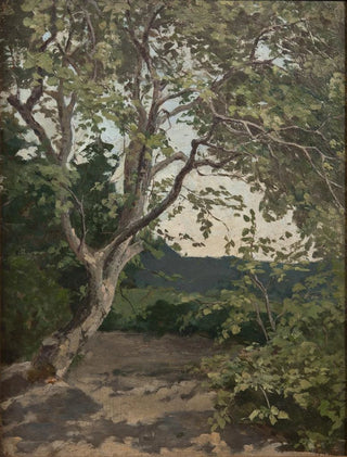 Anna Nordlander - A Tree Study.webp