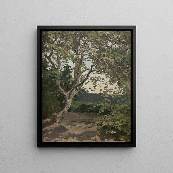 Uno studio di un albero - Anna Nordlander — quadro incorniciato alla parete