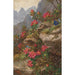 Fiori delle Alpi - Anna Stainer-Knittel — vista dell’opera