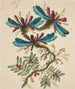 Fleurs fantastiques - Anne Allen — vista dell’opera