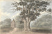Il quercia della regina Elisabetta vicino a Finborough Hall 31 luglio 1824 - Anne Rushout — vista dell’opera