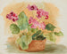 Nature morte ai fiori - Anny Dollschein — vista dell’opera