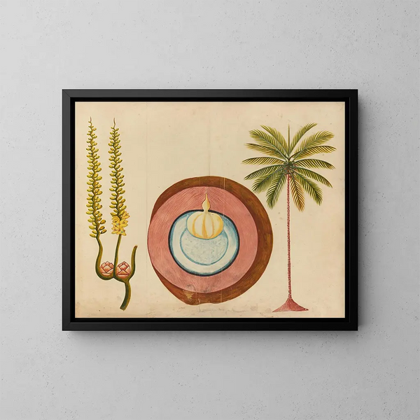 Album di acquarelli di frutta e fiori asiatici Pl04 - Anonimo — quadro incorniciato alla parete