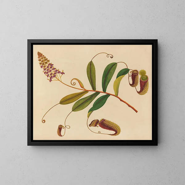Album di acquarelli di frutta e fiori asiatici Pl10 - Anonimo — quadro incorniciato alla parete