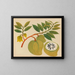 Album di acquarelli di frutta e fiori asiatici Pl20 - Anonimo — quadro incorniciato alla parete