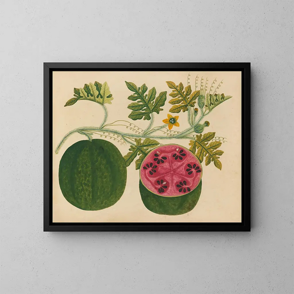 Album di acquerelli di frutta e fiori asiatici Pl29 - Anonimo — quadro incorniciato alla parete