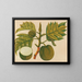 Album di acquarelli di frutta e fiori asiatici Pl30 - Anonimo — quadro incorniciato alla parete