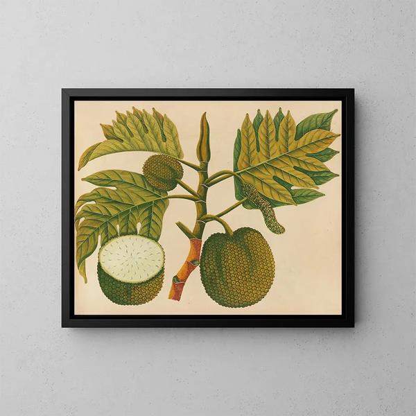 Album di acquarelli di frutta e fiori asiatici Pl30 - Anonimo — quadro incorniciato alla parete