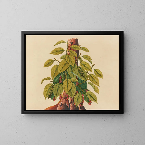 Album di acquarelli di frutta e fiori asiatici Pl34 - Anonimo — quadro incorniciato alla parete