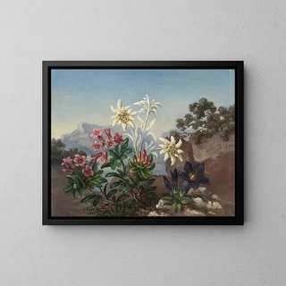 Anonymous - Alpine Flowers.webp