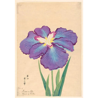 Anonymous - Band of Clouds Kumo no Obi.webp