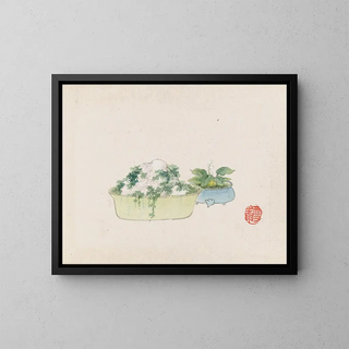Anonymous - Bonsai kabenzu Pl10.webp