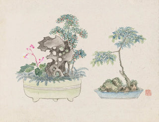 Anonymous - Bonsai kabenzu Pl16.webp