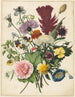 Bouquet di fiori - Anonimo — vista dell’opera