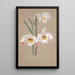 Collection d'orchidées Pl01 - Anonyme — quadro incorniciato alla parete