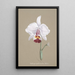 Riproduzione del dipinto Collection d'orchidées Pl26 - Anonyme