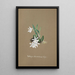 Riproduzione del dipinto Collection d'orchidées Pl30 - Anonyme